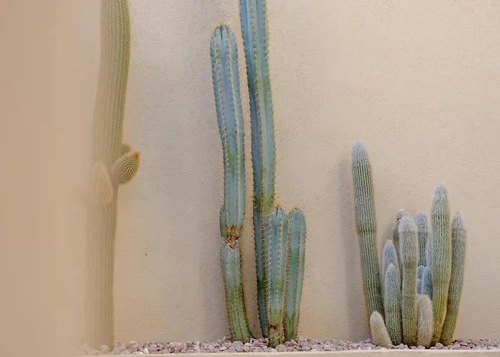 Apartahotel Maison Raphael - Plages, Et Gare A Pied